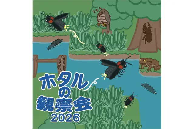 東京・練馬で「ホタルの観察会」6-7月…展示や体験も 画像