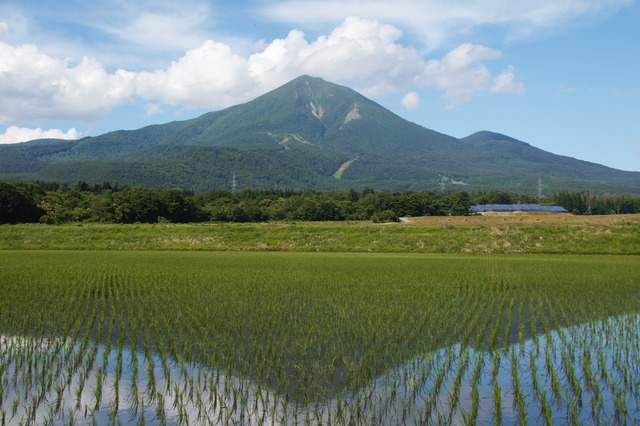 【夏休み2026】磐梯町の教育環境と教育移住を紹介、渋谷でイベント7/26 画像