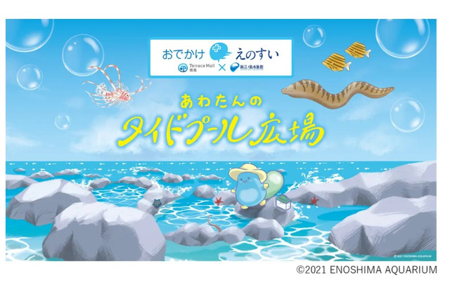 【夏休み2026】新江ノ島水族館がテラスモール湘南へ、海の生き物と学ぶ16日間 画像