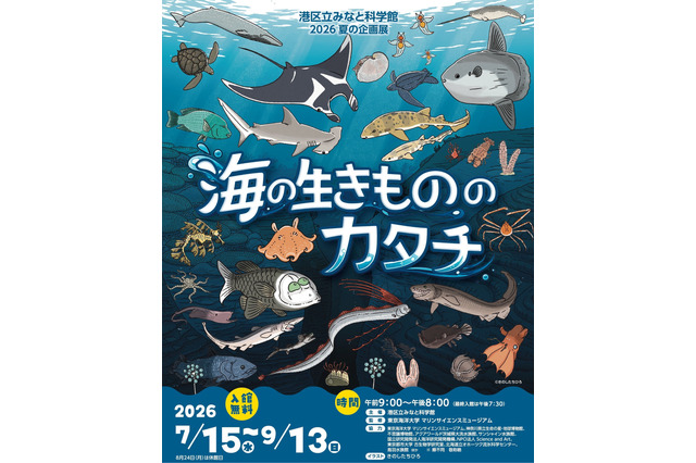 【夏休み2026】みなと科学館「海の生きもののカタチ」企画展9/13まで…実寸大エイも 画像