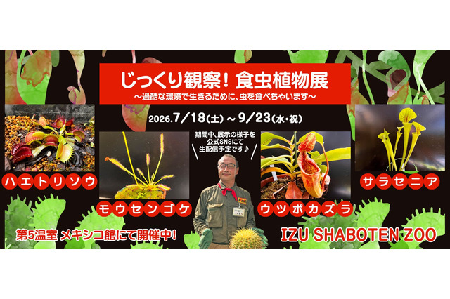 【夏休み2026】伊豆シャボテン動物公園「食虫植物展」7-9月…自由研究にも 画像