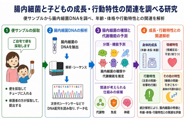 未就学児の腸内細菌、睡眠や情緒との関連を確認…金沢工業大・三重大 画像