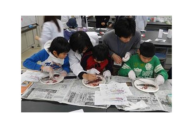 東邦大「たのしい科学のひろば」12/23、小中学生対象 画像
