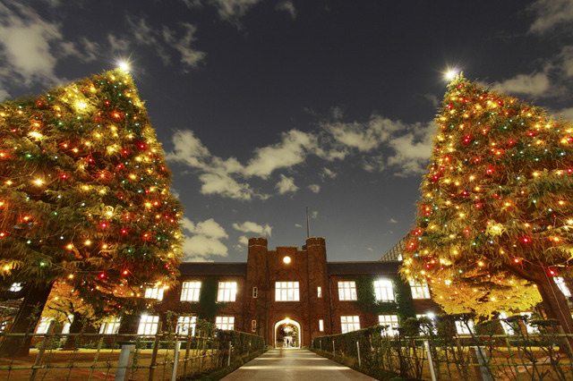 立教大学で12/4、クリスマスツリー点灯式 画像