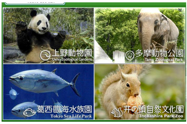 都立動物園・水族園「Visit　ほっと　Zoo　2013」…12/15からプレイベント開催 画像