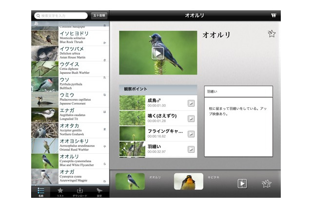 iPadで野鳥観察を楽しむ「Smart Birding 野鳥映像アーカイブス」発売 画像