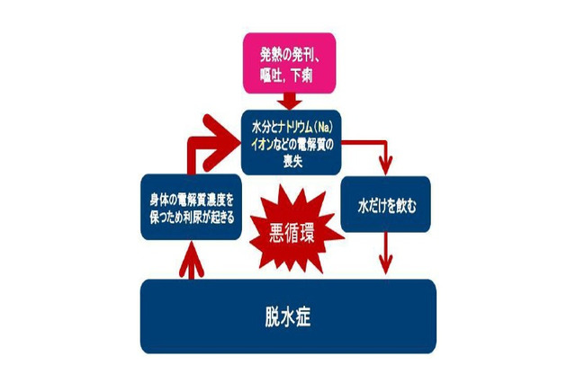 インフルエンザによる冬脱水に要注意、経口補水液による正しい水分補給を 画像