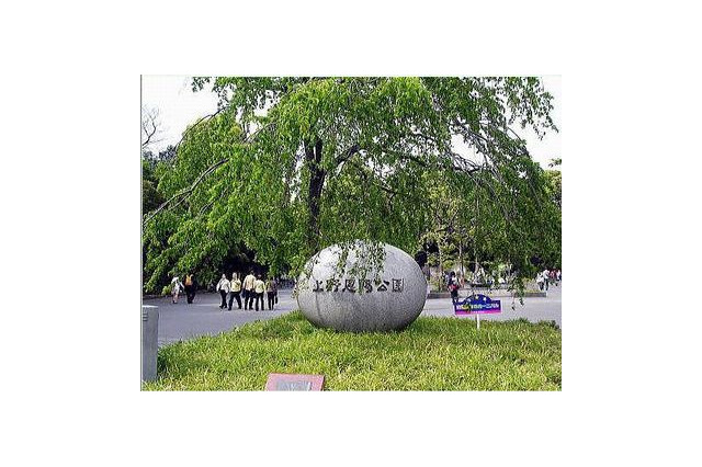 【GW】第14回「上野の森　親子フェスタ」上野恩賜公園で5/3-5開催 画像