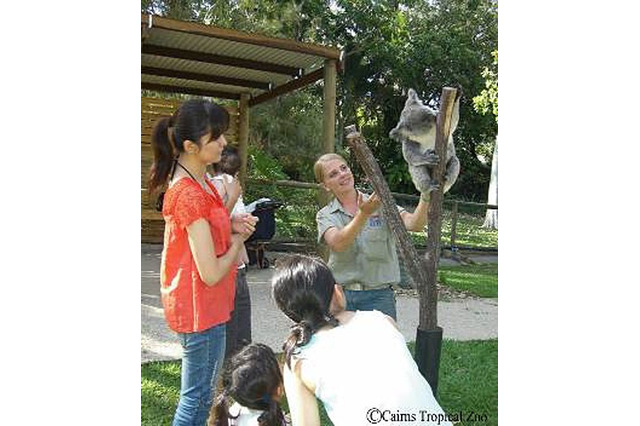 海外旅行先で英語や異文化に触れる体験プラン、JTBとベネッセが共同開発 画像