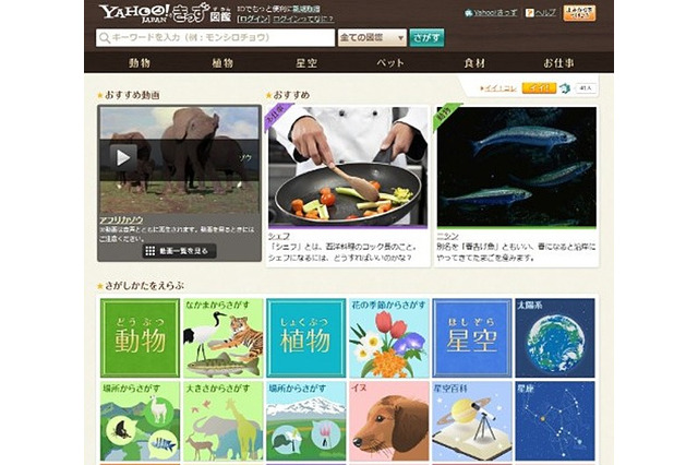 Yahoo!きっず、お気に入りページをコレクションできる「イイ!コレ」 画像