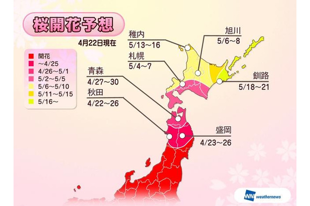 【GW】東北北部の桜はゴールデンウィークが見頃ピーク 画像