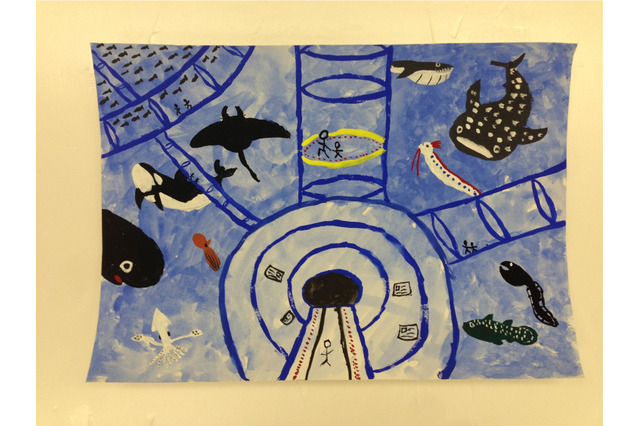 海遊館で小学生以上対象特別講座、水族館の裏側を特別見学 画像