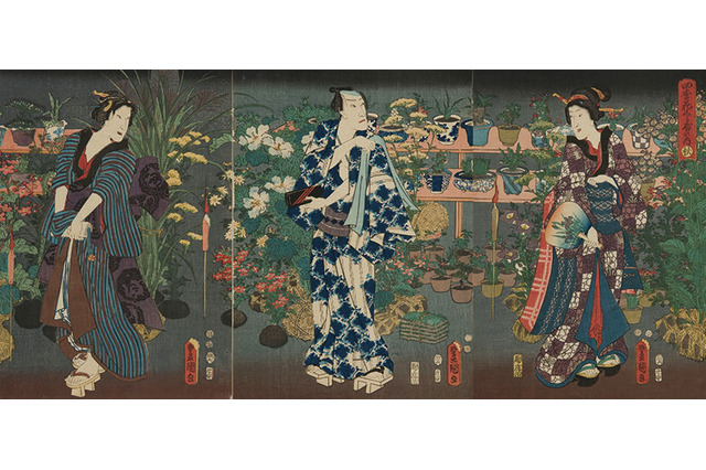 江戸時代の変化朝顔栽培を自由研究に、開館20周年を迎える江戸東京博物館 画像
