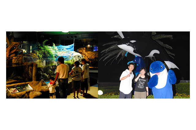 鴨川シーワールド、夏休みに夜の水族館を探検する「ナイトアドベンチャー」 画像