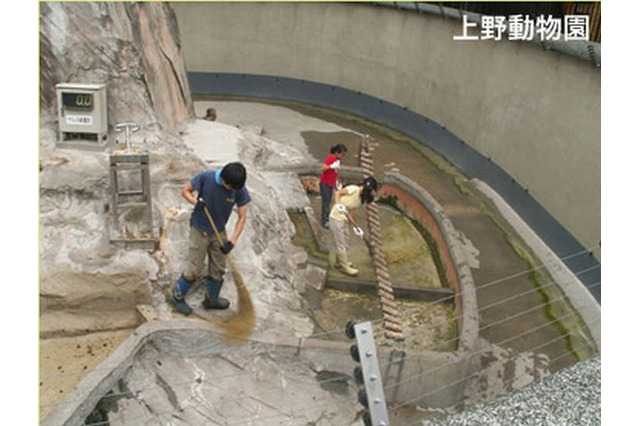 動物の体やくらしについて学ぶ「サマースクール」都立動物園で実施 画像