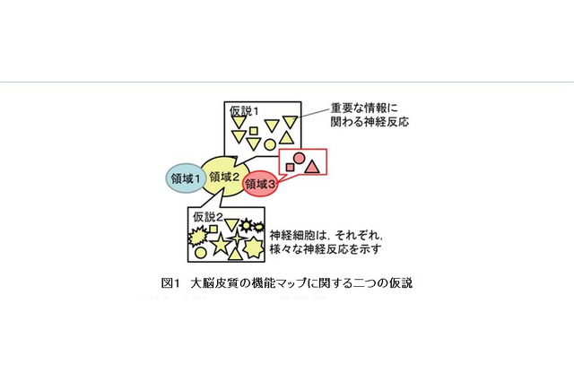 効果的な学習方法解明に一歩前進、学習能力の源泉は「ダーウィニズム」 画像