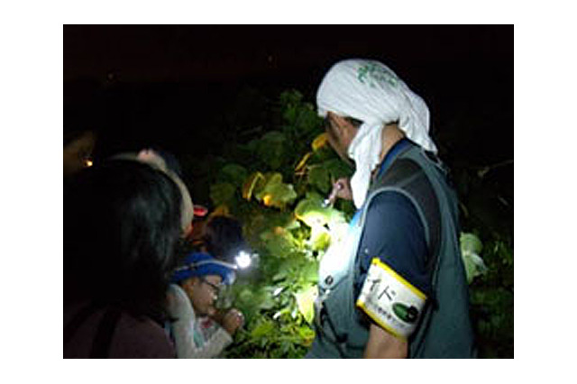葛西臨海公園、夜の鳥類園を探検するナイトウォッチングを開催 画像