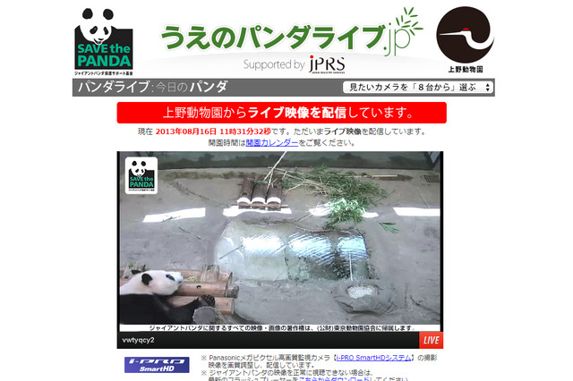 パンダのリーリーが8歳の誕生日、上野動物園が一緒に祝おうキャンペーン 画像