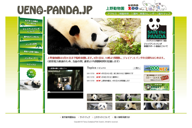 どうして白黒なの？　まもなく公開のパンダ大研究 画像