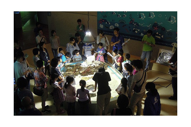 葛西臨海水族園、小学生親子向け「夜の観察会」9/28-29 画像