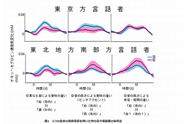 東京と東北南部方言話者の言語処理の違いを発見 画像