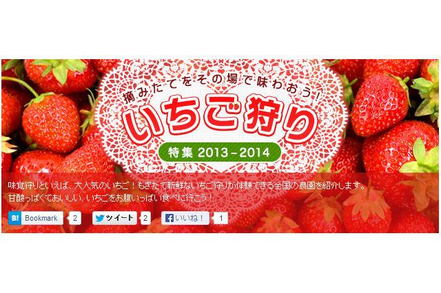 マピオンいちご狩り特集、全国の農園や収穫時期を紹介 画像