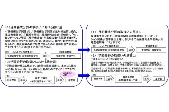 文科省、大学届出設置制度の見直し内容を発表…保健衛生と学際分野で検討 画像
