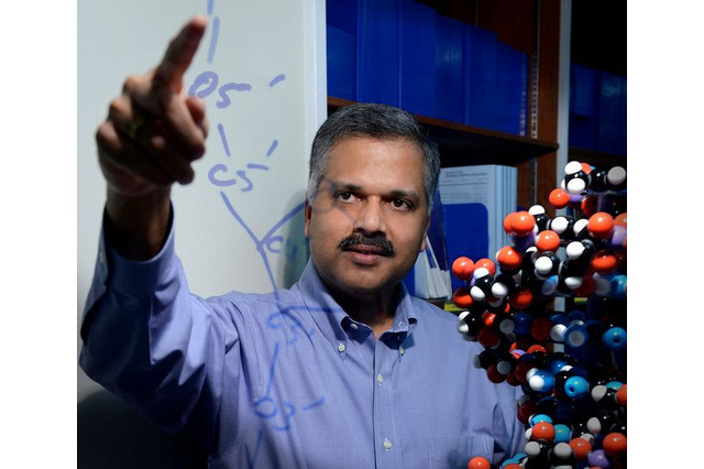 IBM、今後5年間で人々の生活を変える5つのイノベーションを発表 画像