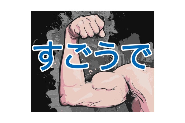 20歳未満のIT技術者を対象に総額100万円相当を上限とする支援、ラック 画像