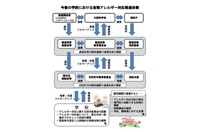 文科省、学校給食での食物アレルギー対応について各教育委員会などへ通達 画像