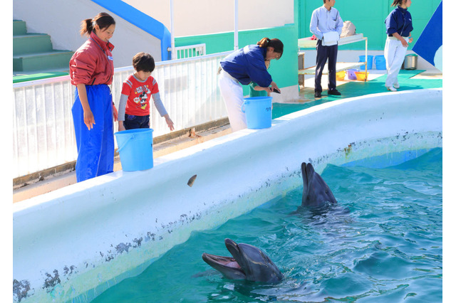 4/19は飼育の日、「イルカの餌やり」など動物園・水族館でイベント 画像