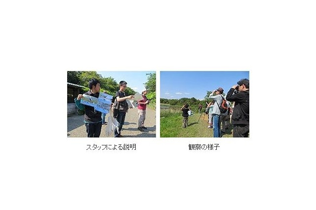 【GW】葛西臨海公園「春のバードウォッチングフェスティバル」5/4-5 画像