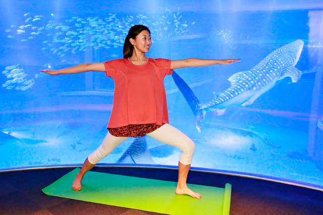 夜の水族館でヨガ体験、海遊館が女性限定イベントを5/30-31に開催 画像