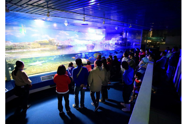 【夏休み】鴨川シーワールド、夜の水族館を探検する「ナイトアドベンチャー」開催 画像