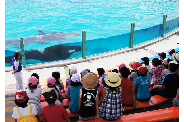 【夏休み】鴨川シーワールド、小学生対象の「サマースクール」開催 画像