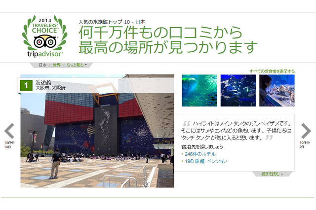 旅行者に人気の水族館、トップは「海遊館」、トリップアドバイザー 画像