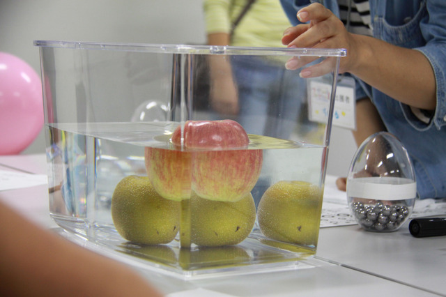 【ワークショップコレクション10】カボチャとミニトマトどっちが浮くのか、浮力探検隊 画像