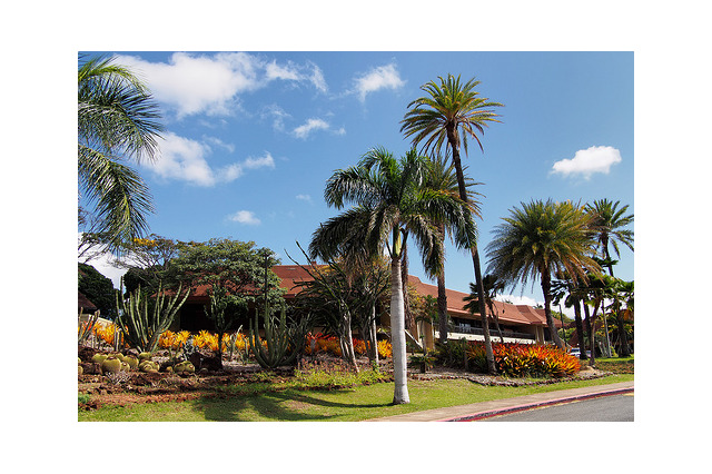 ハワイのコミュニティカレッジが留学生の募集を開始、10/30に説明会を開催 画像