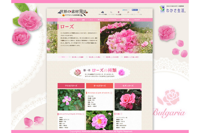 バラの魅力を伝えるサイト「ローズ図鑑」開設、バラの香りや栽培方法を紹介 画像
