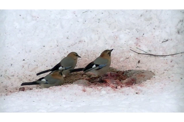 80人以上の国内外アーティストたちが参加、恵比寿映像祭 画像