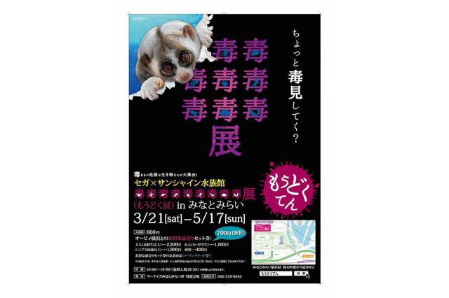 【春休み】「毒を持つ生き物」の特別展、横浜みなとみらいに登場 画像