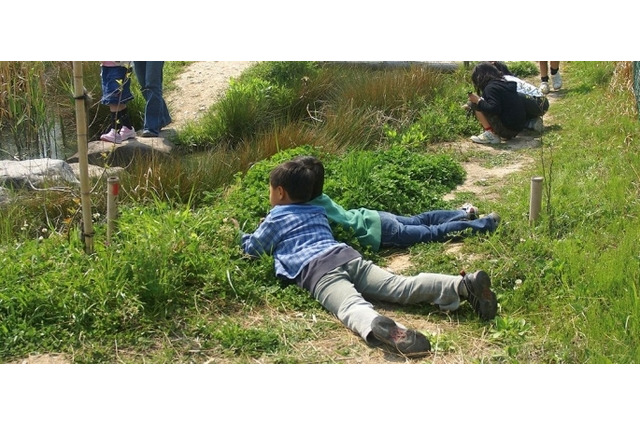 「学校ビオトープ」コンクールにフォルクスワーゲンが3回連続で協賛 画像