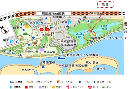 葛西臨海公園　鳥類園