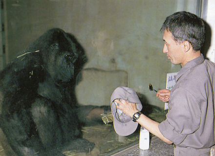 写真：（公財）東京動物園協会