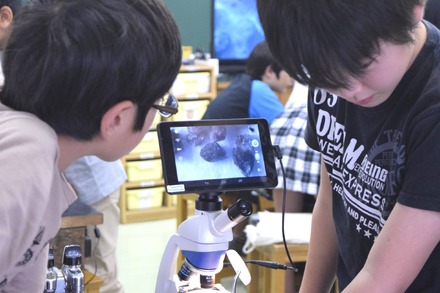 デジタル顕微鏡で観察する生徒たち