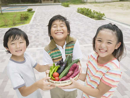 学校給食において地場産物を使用する割合は26.9％（画像はイメージ）