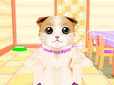 かわいい子猫DS3 かわいい子猫DS3