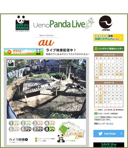 「UenoPandaLive.jp」イメージ画像