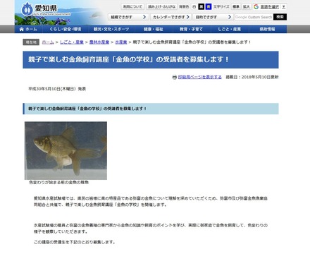 愛知県　親子で楽しむ金魚飼育講座「金魚の学校」