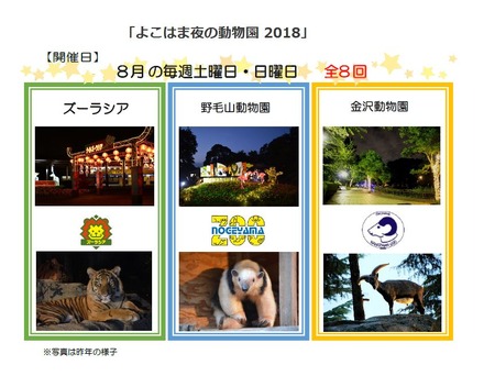 「よこはま夜の動物園2018」